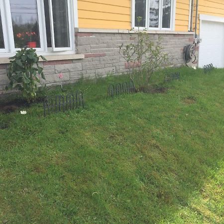 Motel 149 Mont-Tremblant Zewnętrze zdjęcie