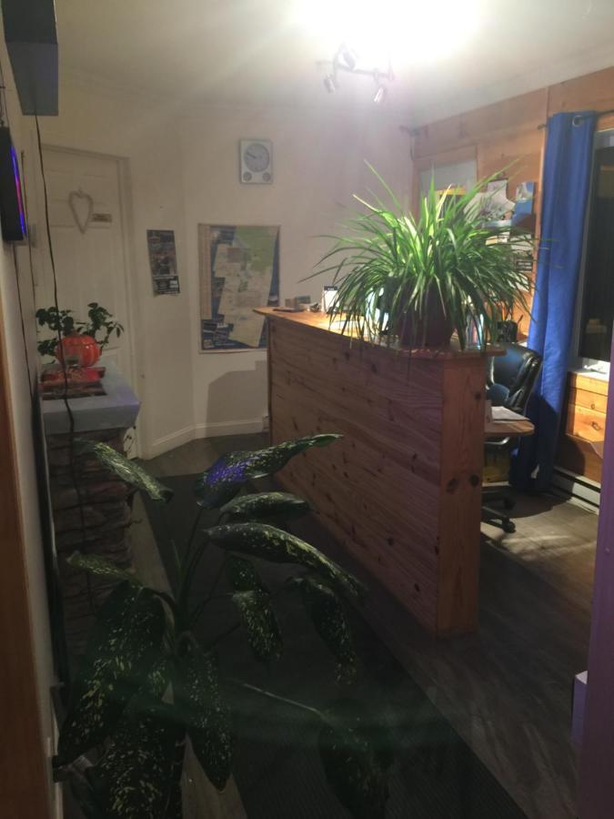 Motel 149 Mont-Tremblant Zewnętrze zdjęcie